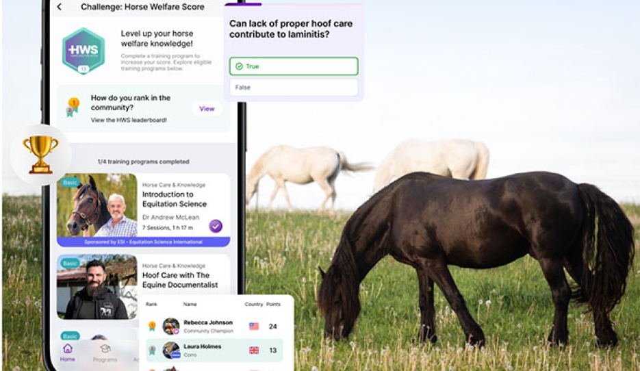 Ridely Launches Groundbreaking Horse Welfare Score