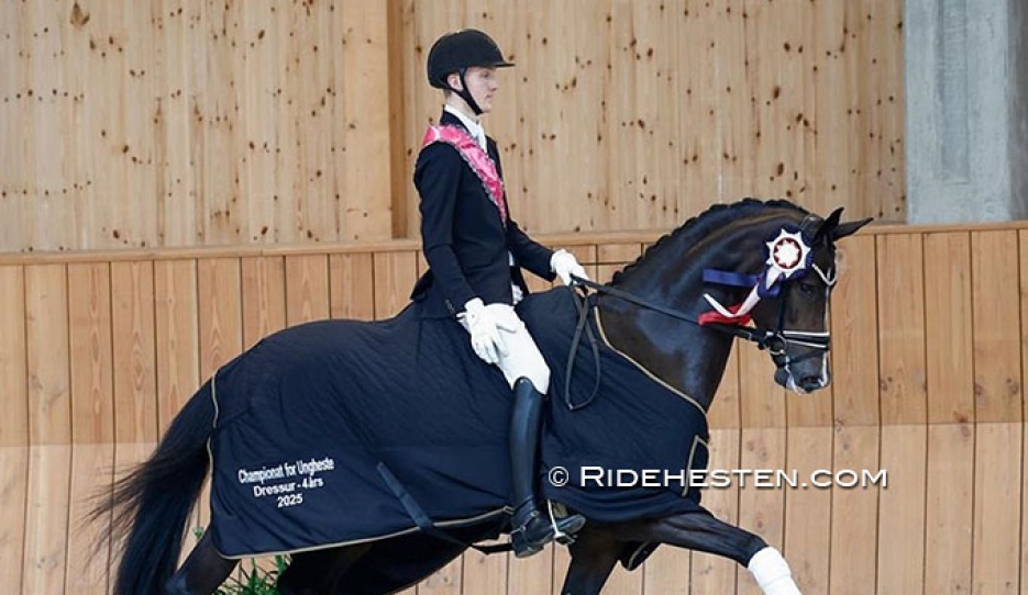 Anders Sjobeck Hoeck and Søbakkehus Miss Malfoy win the 4-year old division at the 2025 Danish Young Horse Championships :: Photos © Ridehesten