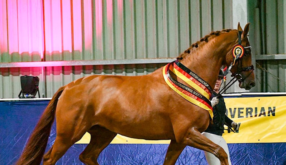 Catherston Zahara (by Zack x Breitling W x Laurentianer) :: Photo © Kevin Sparrow