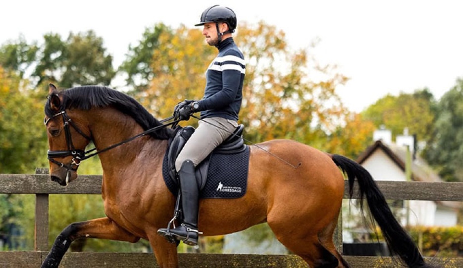 Roy van den Heuvel spots true talent in young horses