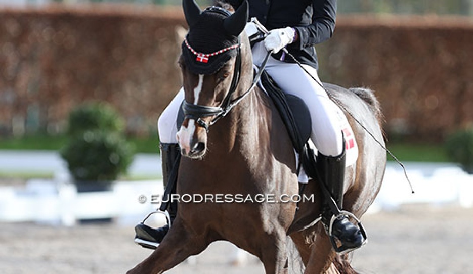 Rikke Maria Schoubye Johansen and D'Artagnan at the 2024 CDI Aachen Festival 4 Dressage :: Photo © Astrid Appels