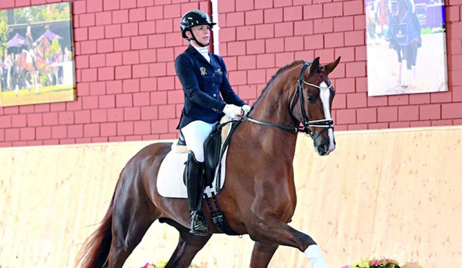 Donation PS at Paul Schockemöhle's station in Mühlen, Germany