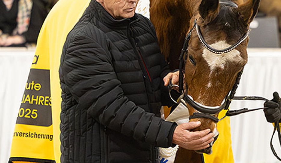Dorina celebrated as Hanoverian Mare of the Year 2025 at the Hanoverian stallion licensing in Verden :: Photo © Hannoveraner Verband