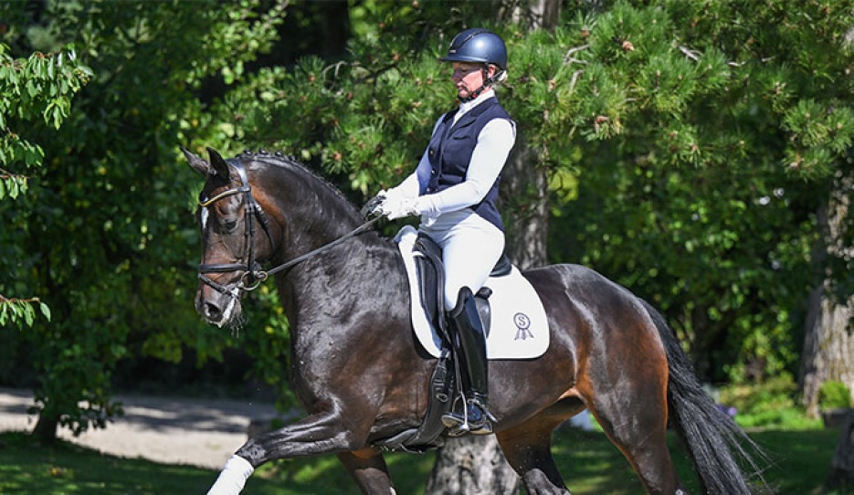 Fleur du Monde, a daughter of For Romance II × Totilas