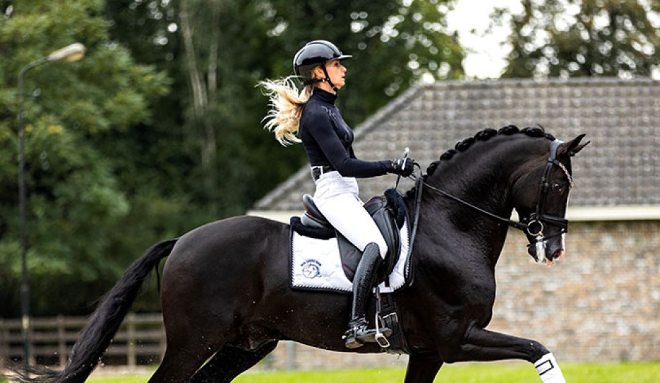 Kaiman under Dinja van Liere :: Photo © Equigeniek