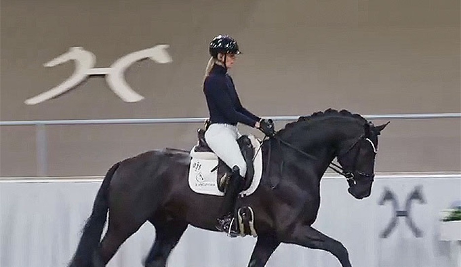 Sina Aringer and Grey Tonic PS at the shortened Suitability test in Verden