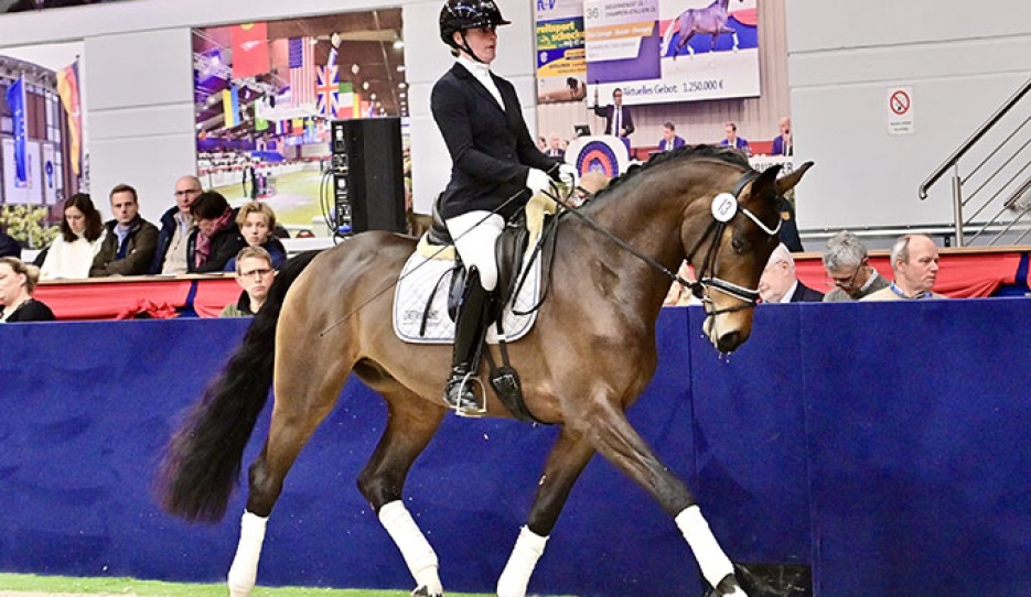 Dupont at the 2025 Oldenburg Special Edition auction