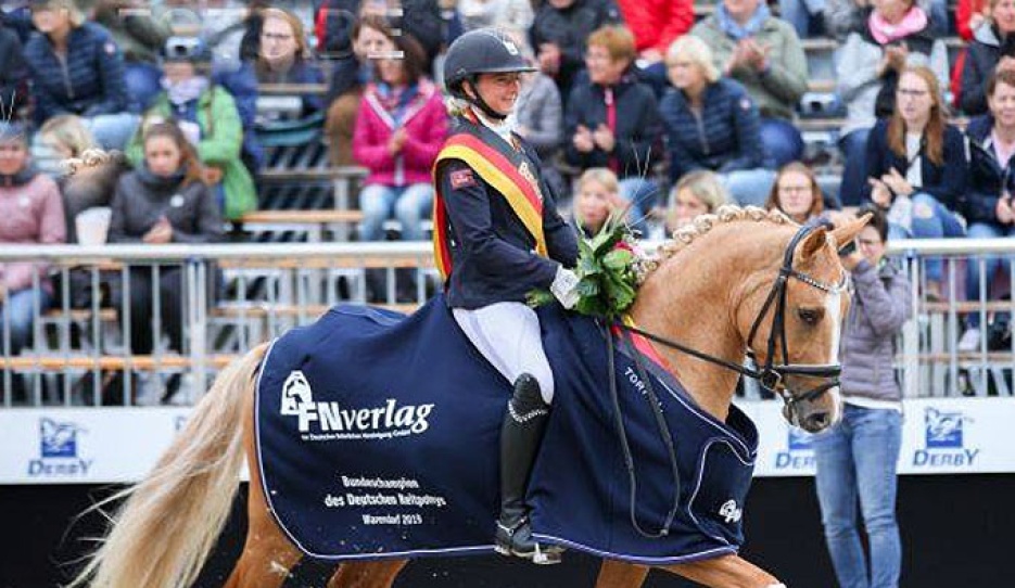 DSP Gluckskeks at the 2019 Bundeschampionate :: Photo © LL-foto