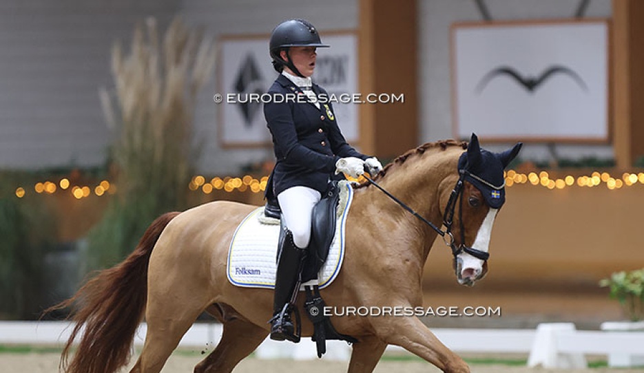 Ellen Jakobsson and Tanzbär T at the 2023 CDI Kronenberg Indoor :: Photo © Astrid Appels