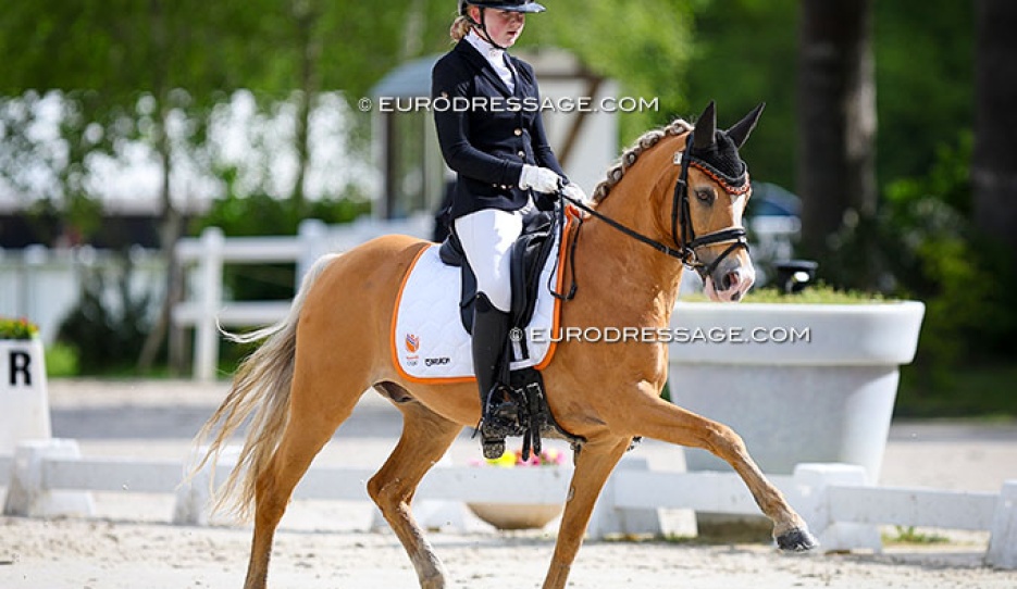 Kate Jansen on FS Mr Magic at the 2024 CDIO Compiegne :: Photo © Astrid Appels