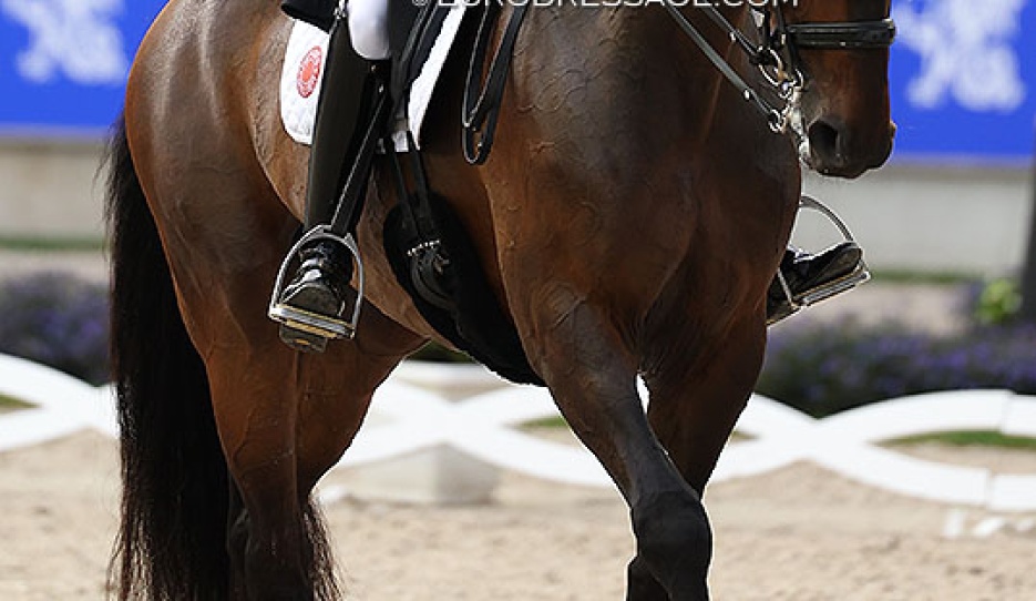 Jessica von Bredow-Werndl and Diallo BB at the 2025 CDIO Aachen :: Photo © Astrid Appels