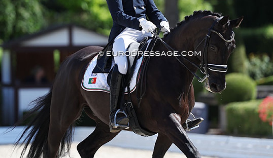 Tiago Ferreira and Diamo Dream at the 2025 European Young Riders Championships :: Photo © Astrid Appels