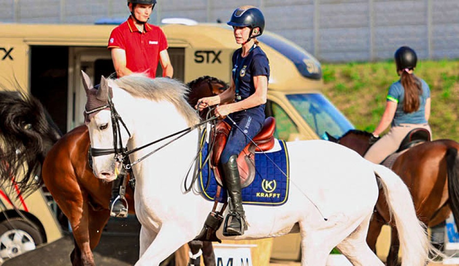 Swedish Grade 5 rider Lotta Wallin brought both her championships horses to Mannheim, here the PRE stallion Enebro SB :: Photo © Silke Rottermann