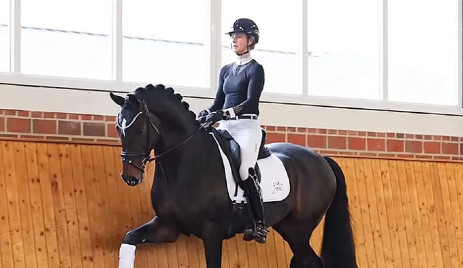 Carina Scholz and Fortunio