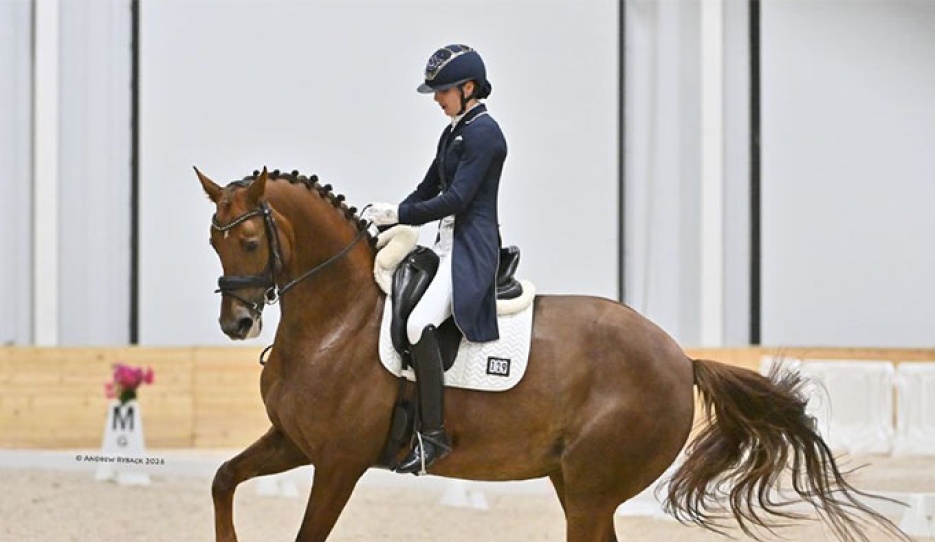 Nora Batchelder on Nova at the 2026 CDI Ocala :: Photos © Andrew Ryback