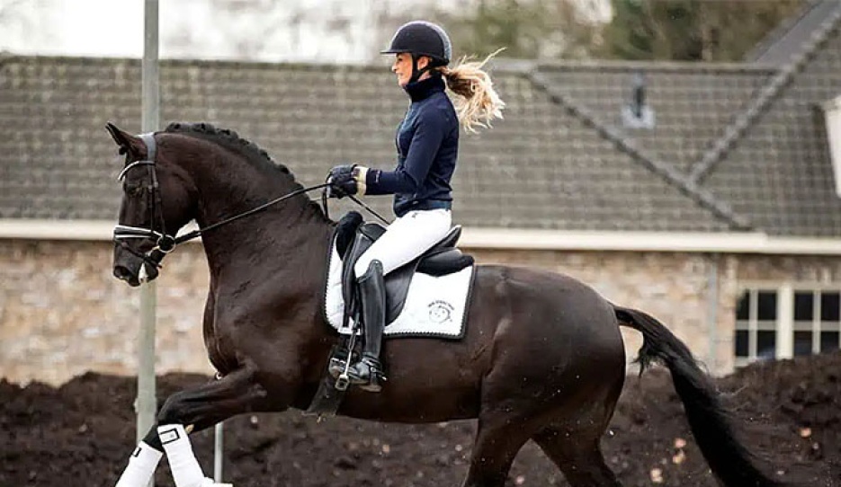 Lowlands OLD (by Millennium x Donnerball)