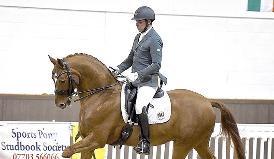 Woodlander Wavavoom :: Photo © Horse Power Creative