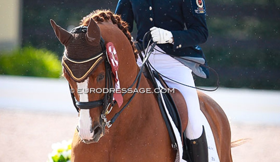 Camille Carier Bergeron and Lowelas at the 2015 CDI Wellington :: Photo © Astrid Appels