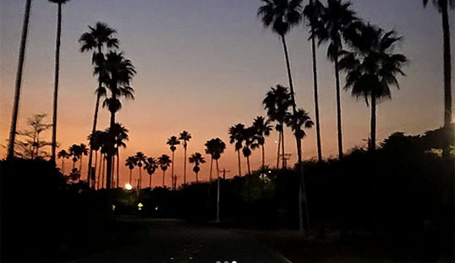 You can't beat those Wellington sunsets :: Photo © Astrid Appels