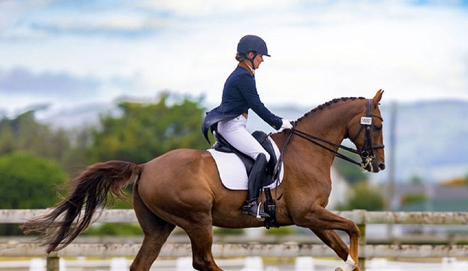 Kallista Field on Felix Westfalia FE (by Franziskus)