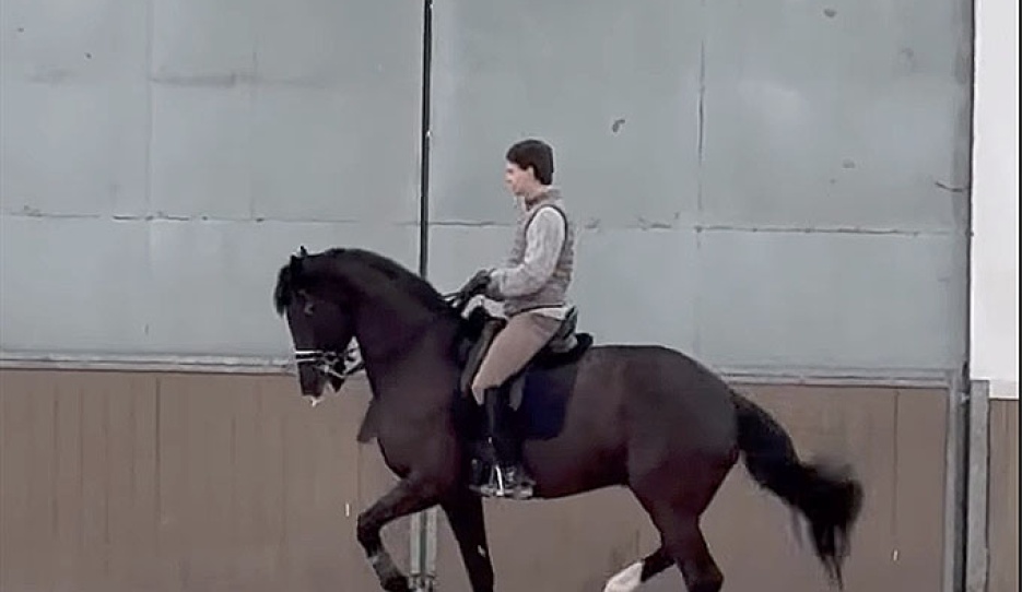 Nico Nyssen and Kylian