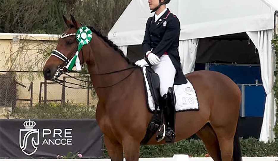 Tien-Chi Shyong and Dordogne DN win the Prix St Georges at the 2026 CDI Jerez de la Frontera :: Photo © private