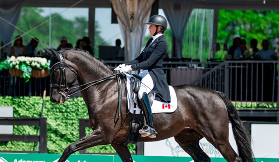 Brittany Fraser-Beaulieu and Medoc at the 2026 CDIO Wellington :: Photos © Centre Line Media