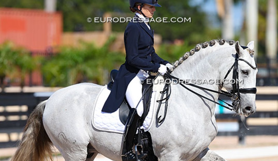 Lisa Wilcox and Niquel CAP in the national Grand Prix at the 2026 Global Dressage Festival :: Photo © Astrid Appels