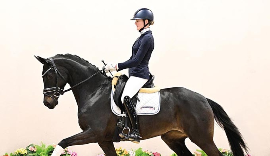 OLHPr.A  Charleen (by Total McLaren x Furst Romancier) - An ultra-modern dressage diva who impresses from her very first appearance