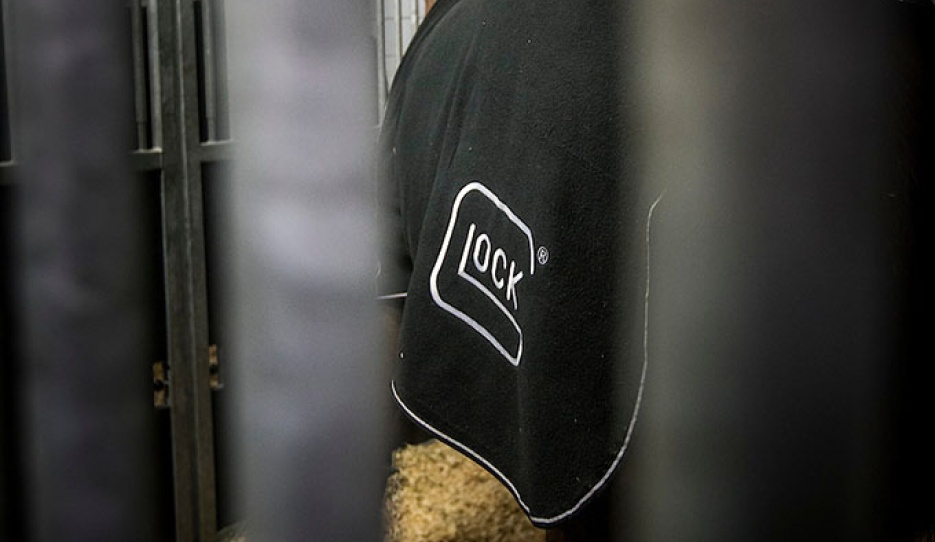 Glock's Flirt at Schiphol airport ready to be flown to the 2015 World Cup Finals :: Photo © Dirk Caremans