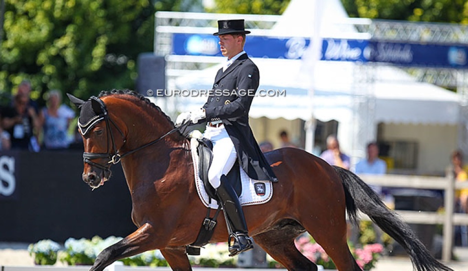 First Ampere at the 2018 World Young Horse Championships :: Photo © Astrid Appels
