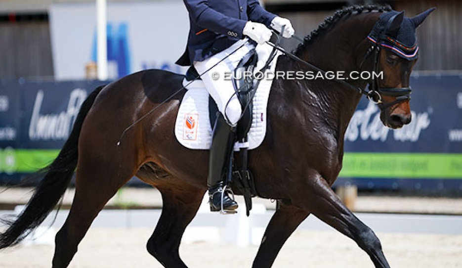Frank Hosmar and Guetta at the 2022 CPEDI Grote Brogel :: Photo © Astrid Appels