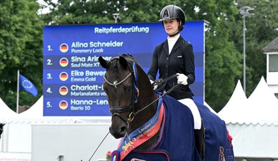 Alina Schneider on Pommery Look at the 2025 Oldenburg Young Horse Championships in Rastede Photo © Kiki Beelitz for GOV