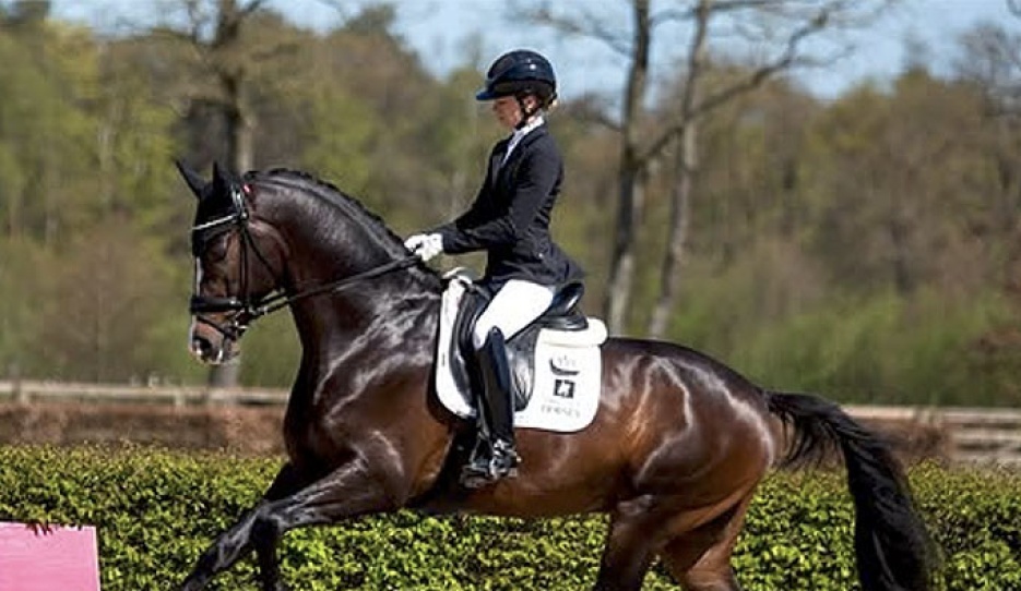 Charlotte Fry and Real Dream at the first Dutch WCYH team selection trial of 2026 :: Photo © Timo Martis