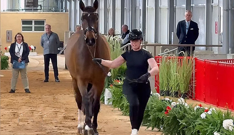 Favourite for the win: British Becky Moody and Jagerbomb in the trot-up at the 2026 World Cup Finals