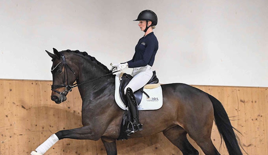 Venedig (by V-Plus x Scolari)