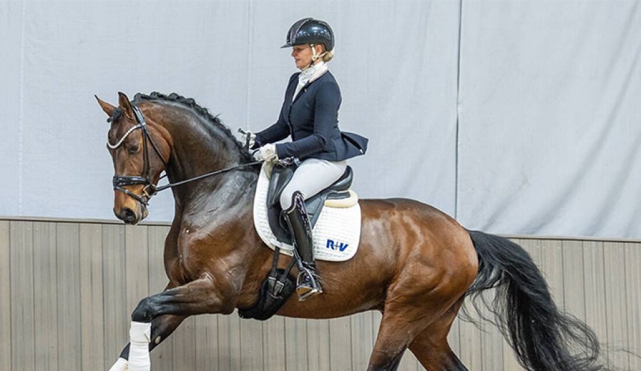 Bentheim (by Belvedere x Rock Forever) :: Photo © Recki