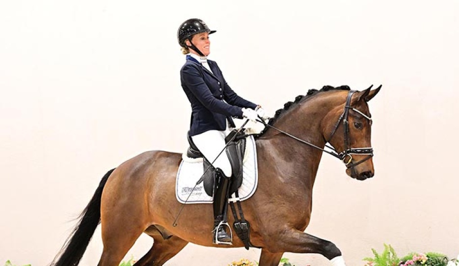 Bonaparte (by Bon Vivaldi x Harvard)