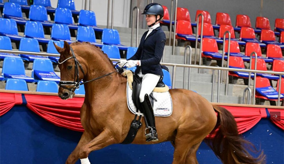 Val D'Aran at the Oldenburg Horse Center in Vechta