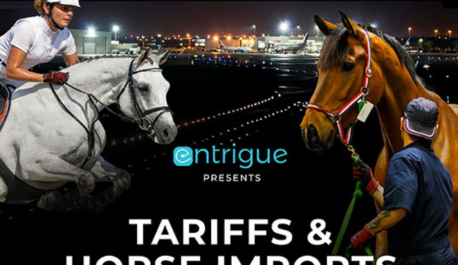 dual masterclass webinar on tariffs and horse import, hosted by Entrigue and powered by Horseflight