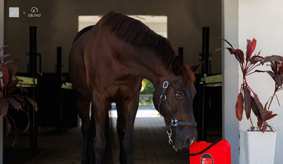 Pulsed Electromagnetic Field Technology by E-Kino