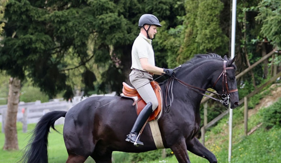 Fanti changing forward-upward in an exemplary frame. The rider should remain in the saddle though :: Photos © Silke Rottermann