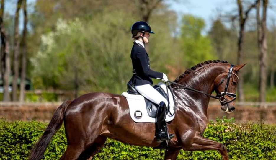 Franka Loos on Rose Bel Taonga at the first Dutch WCYH selection trial in Ermelo :: Photo © Timo Martis