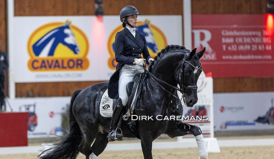 Kil Koolen and For Ferrero at the 2023 Belgian Warmblood Stallion Licensing show :: Photo © Dirk Caremans