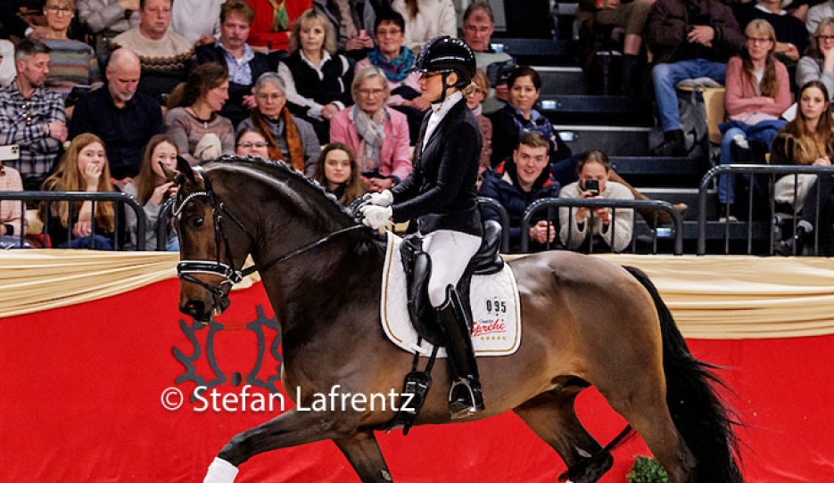 Beatrice Arturi and Havertz in October 2025 at the Trakehner stallion licensing :: Photo © Stefan Lafrentz