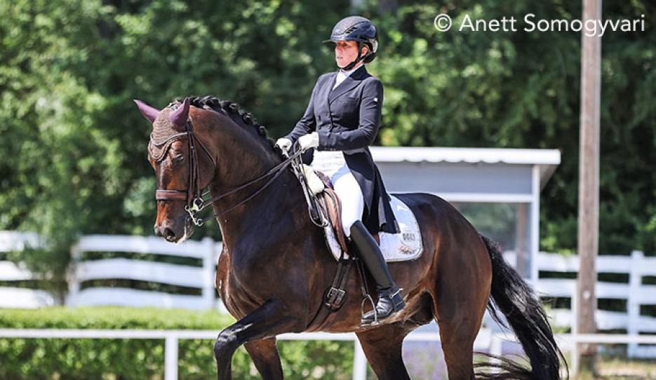 Astrid Neumayer and the KWPN stallion Knock-Out at the 2026 CDI-W Pilisjaszfalu :: Photos © Anett Somogyvari