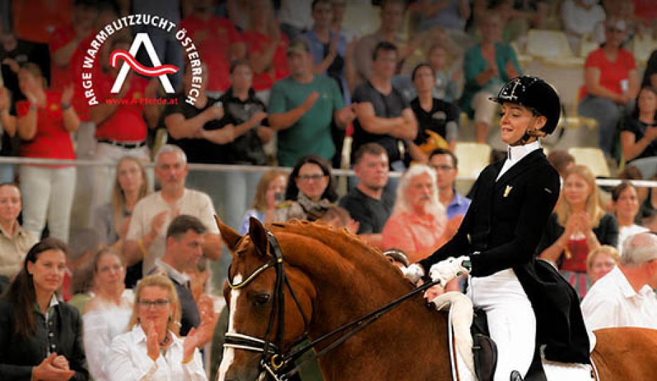 2026 AWÖ Championats Gala & Foal Auction on 19 September 2026