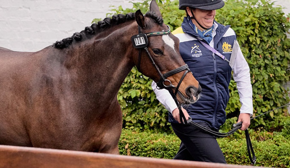 Bridget Murphy's Penmain Promise was successfully trotted up today at the vet inspection before Murphy's withdrawal :: Photo © FEI/Liz Gregg