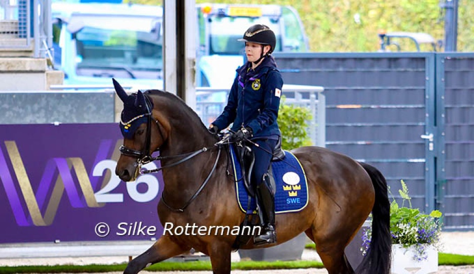 Swedish Grade 3 rider Pam Svane’s mare Raja has gained expression and muscle bulk since she turned up on the para scene 2025 :: Photos © Silke Rottermann
