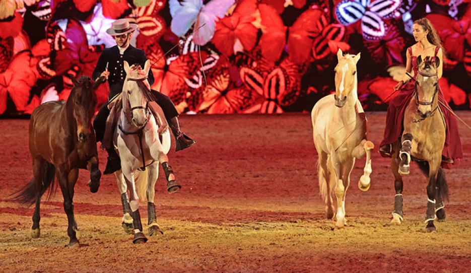 Equitana is back for 2027 with its magnificent Hop Top show